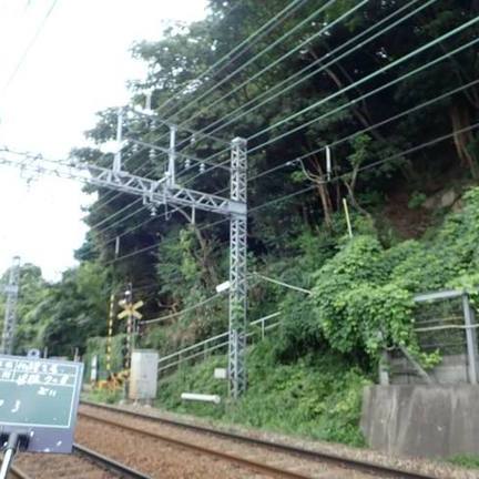 県堀 上り  伐採工事